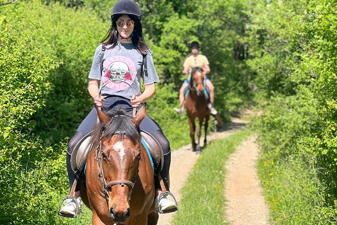 Horseback Riding Experience with transport from Dubrovnik - Is $118.94 a fair price?