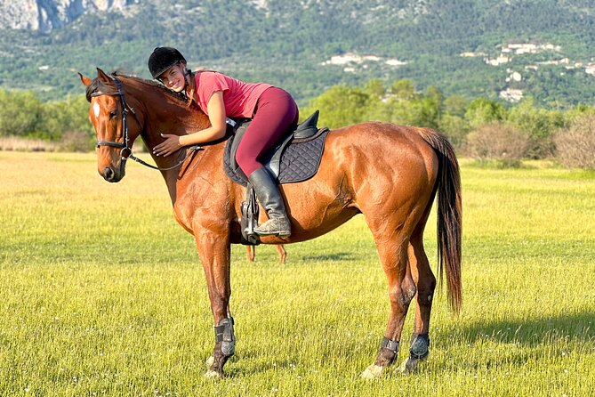 Horseback Riding Experience with transport from Dubrovnik - The 60-minute trail through Konavle