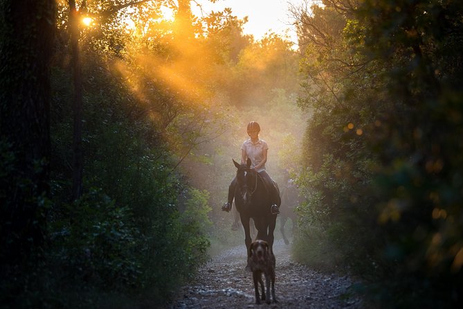 Horseback Riding in Konavle Region with Transport from Dubrovnik - Key points to know before booking