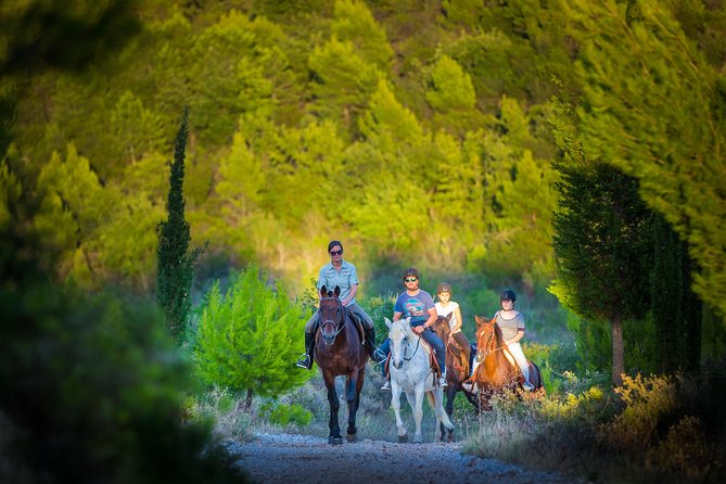 Horseback Riding in Konavle Region with Transport from Dubrovnik - Why Konavle is a fine change from Dubrovnik