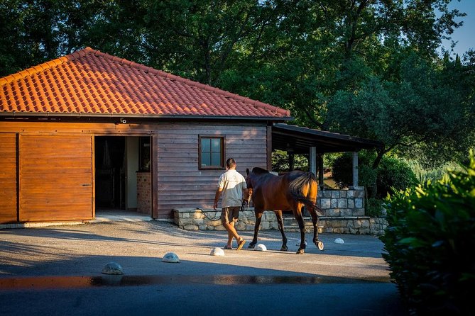 Horseback Riding in Konavle Region with Transport from Dubrovnik - The evening light and coastal views