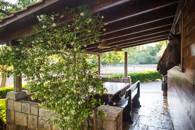 Horseback Riding in Konavle Region with Transport from Dubrovnik - What to wear and what to pack