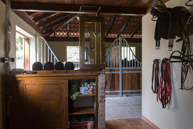 Horseback Riding in Konavle Region with Transport from Dubrovnik - Who will enjoy this ride most