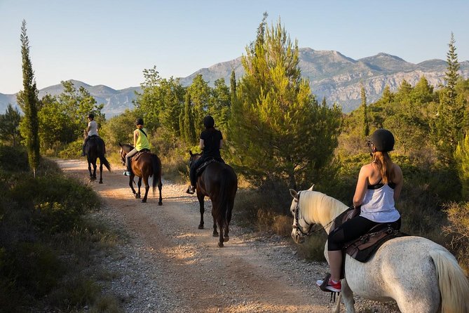 Horseback Riding in Konavle Region with Transport from Dubrovnik - Meeting your horse and learning the basics