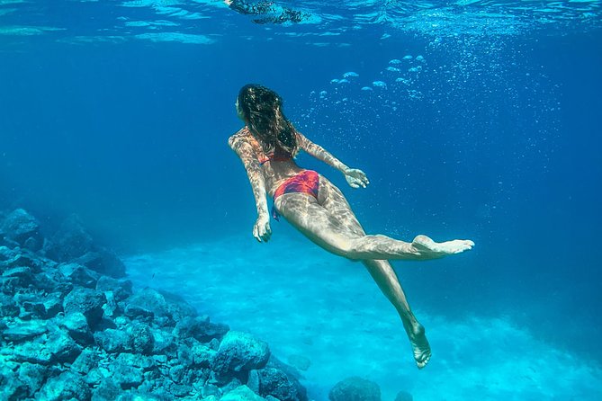 HVAR & 4 Islands PRIVATE BOAT TOUR - Pakleni Islands: pine trees, coves, and Palmižana Bay