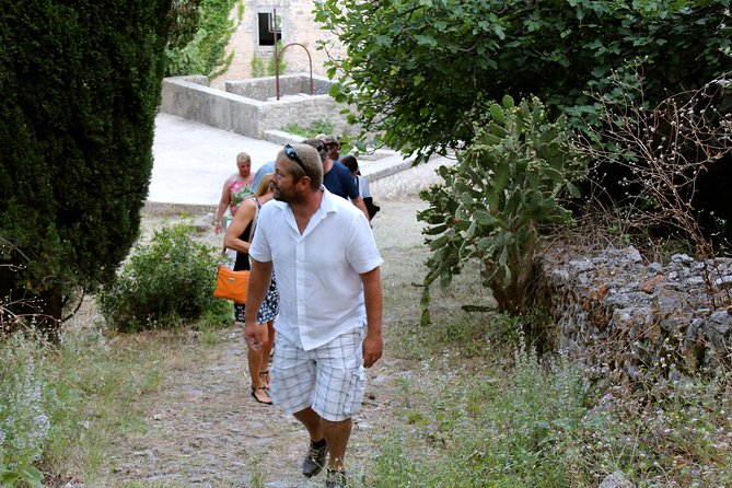Hvar Hidden Gems Small Group Half Day Tour with Lunch or Dinner - Morning or afternoon departure?