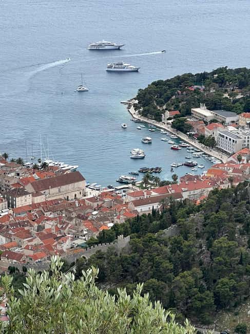 Hvar: Hvar Wine Tasting Experience - Practical advice for a smoother outing