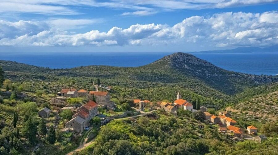Hvar: Island tour with Wine and Olive Oil Tasting - Following Hvar’s Old Road Through Villages and Lavender