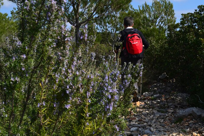 Hvar Lavender Tour - Key Points Before You Book