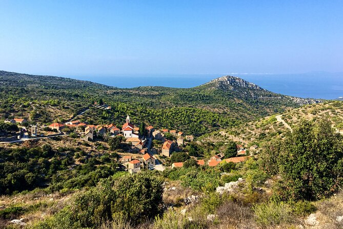 Hvar Lavender Tour - The Walk Begins Above the Town