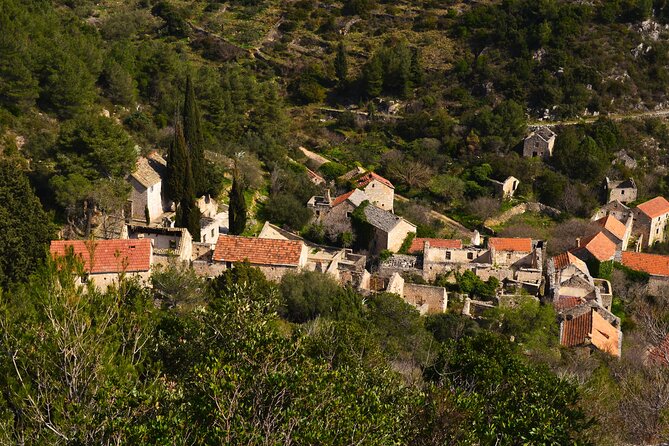 Hvar Lavender Tour - Is $96.23 Good Value?