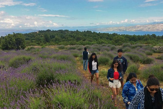 Hvar Lavender Tour - Velo Grablje and the Old Island Way