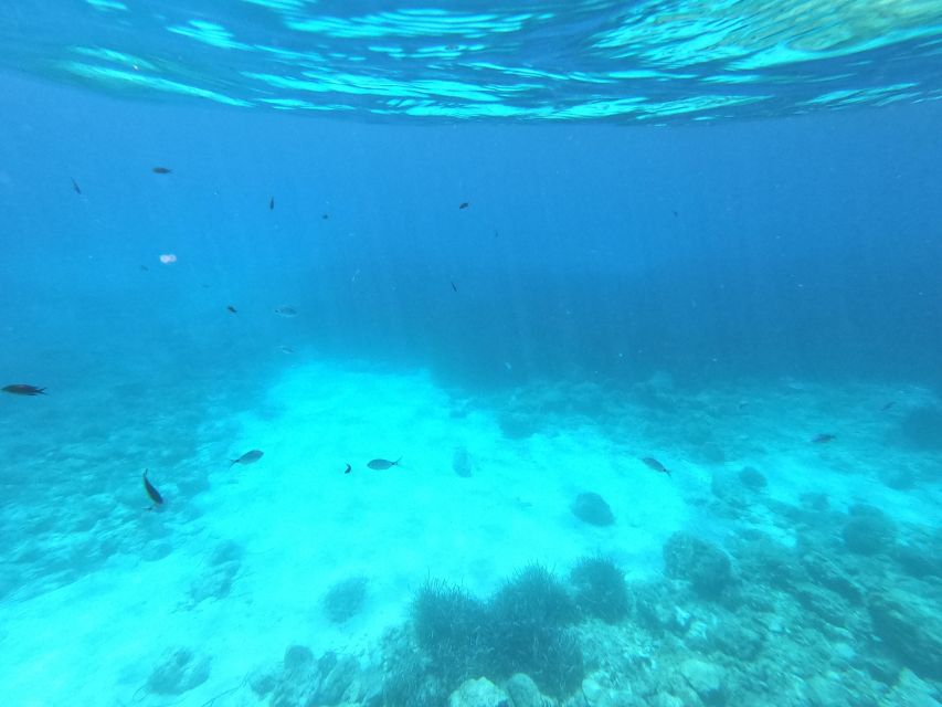 Hvar: Private Sailing Boat Trip with Swimming and Snorkeling - Choosing between a short trip and a full day