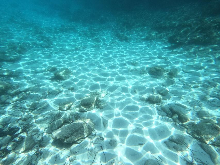 Hvar: Private Sailing Boat Trip with Swimming and Snorkeling - Is $471 good value?