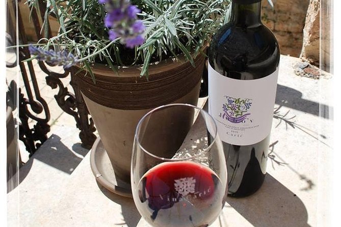 Hvar Small Group Wine Tour and Authentic Dalmatian Dinner - What the $300.06 price really covers