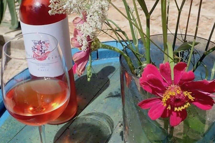 Hvar: Wine Lovers Tour to 3 Wineries with Local Tastings - Jelsa’s traditional wines and Prošek