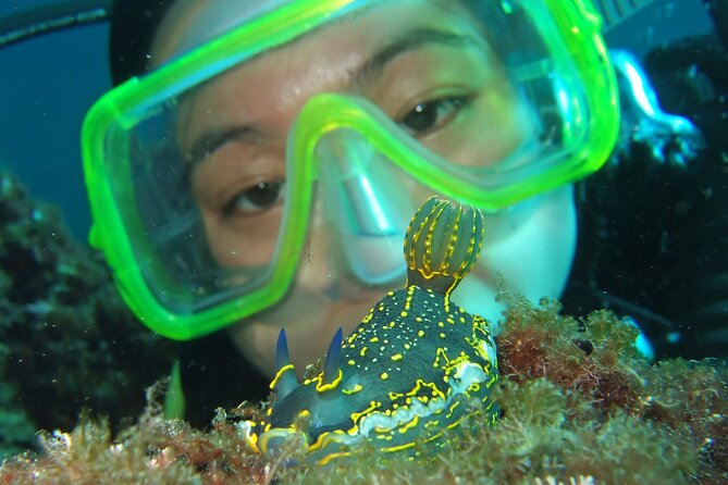 Intro Dive in Dubrovnik - Forty-Five Minutes Along the Shore