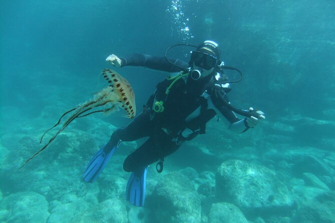 Intro Dive in Dubrovnik - Who Will Get the Most From This Experience