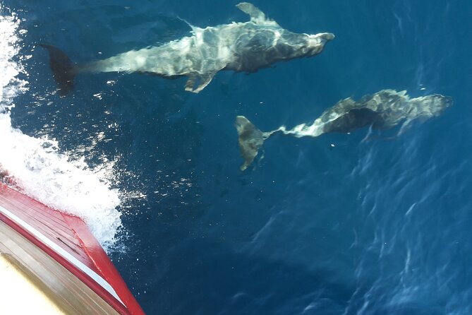Island Hopping & City Walls Cruise with Food and Open Bar - The crew and onboard feel