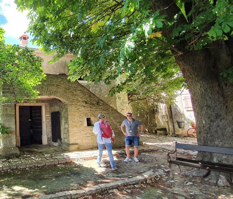 Istria: Guided Tour of Inner Istria with Food Tasting - Motovun and the truffle table