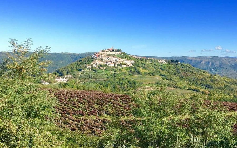 Istria: Guided Tour of Inner Istria with Food Tasting - The guide and the ride make the difference