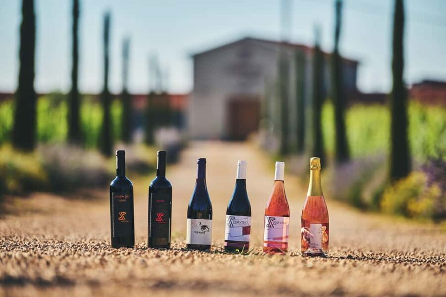 Istria: Pervino wine tasting - The charcuterie plate and Istrian olive oil