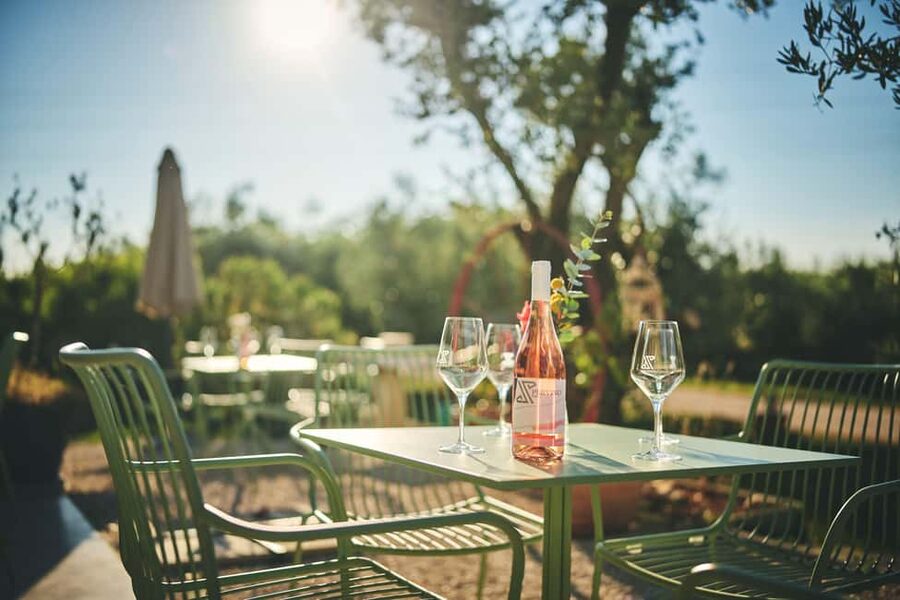 Istria: Pervino wine tasting - Finishing with three more wines