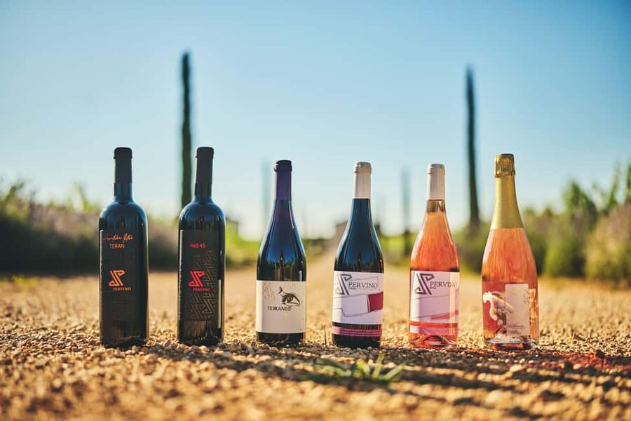 Istria: Pervino wine tasting - A family winery rather than a full vineyard tour