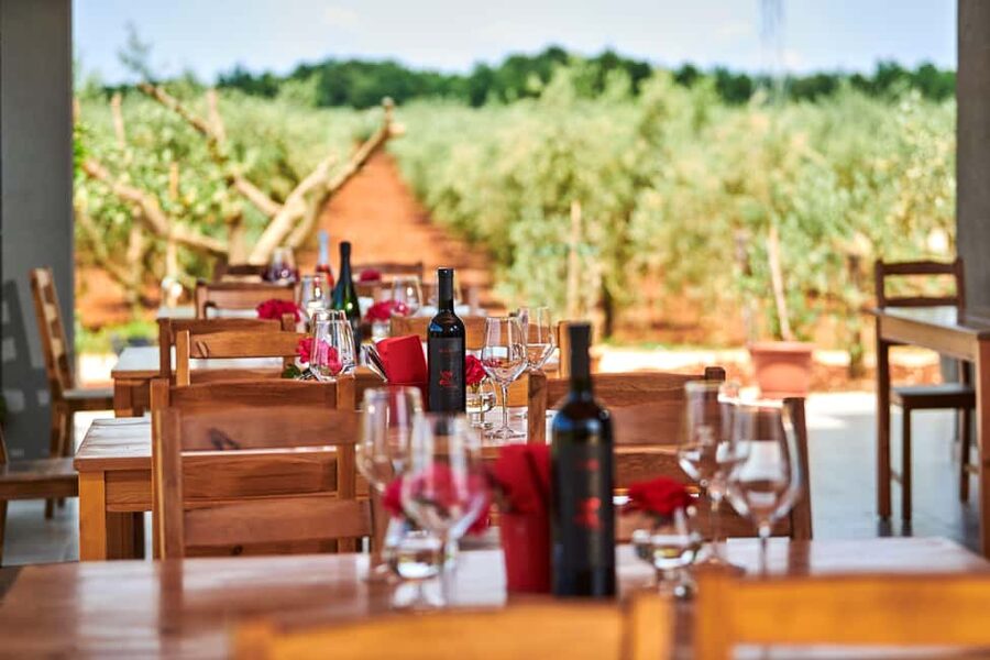 Istria: Pervino wine tasting - Starting with Malvazija Istarska and Teran