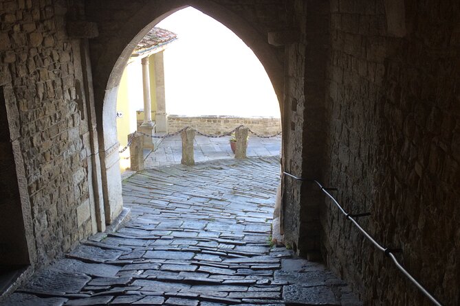Istria Private Day Trip - Poreč and the layered Adriatic past