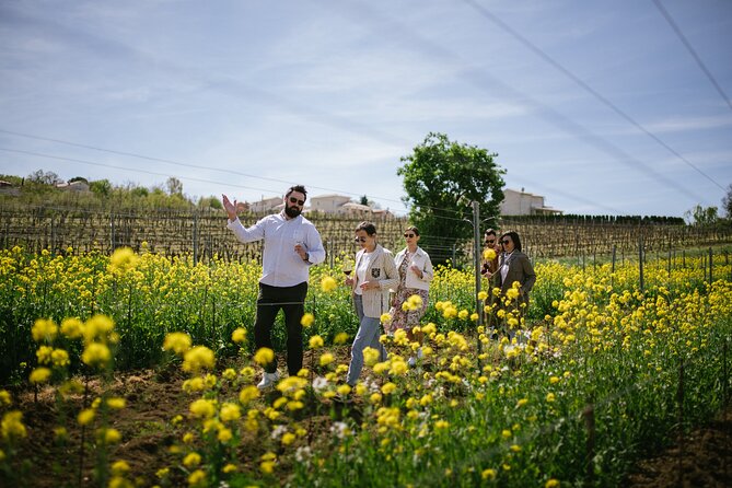 Istria Wine Tour from Rijeka and Opatija - Key points at a glance