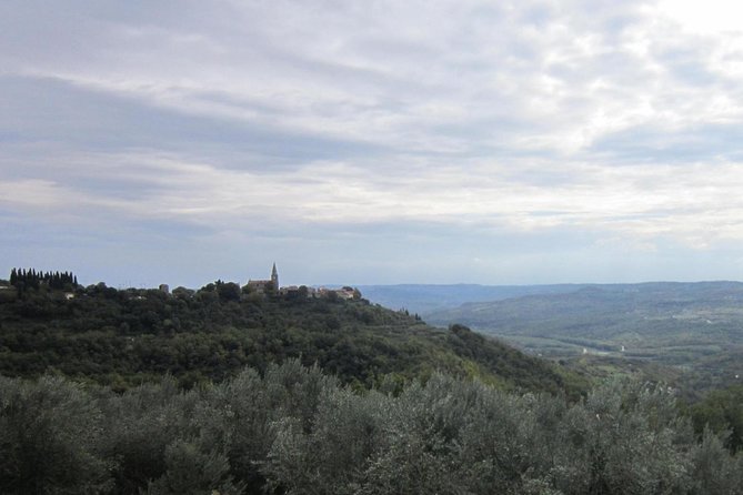 Istrian hill top cities tour with truffle and olive oil tasting - Motovun: the longest and most rewarding stop