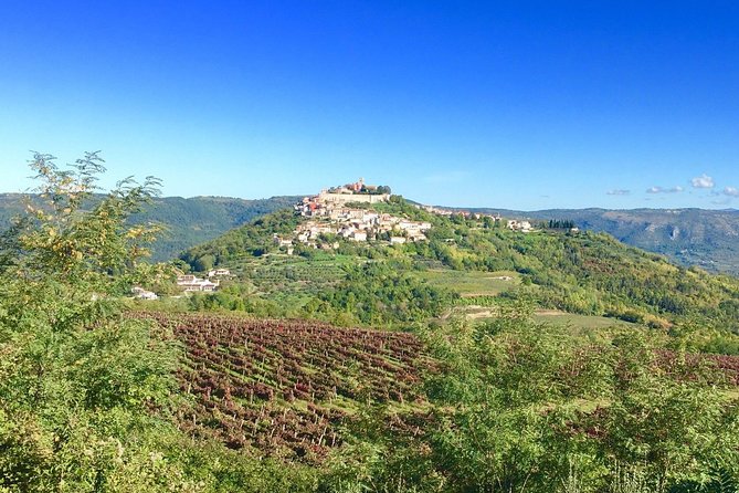 Istrian hill top cities tour with truffle and olive oil tasting - Pazin Abyss: a short final photograph