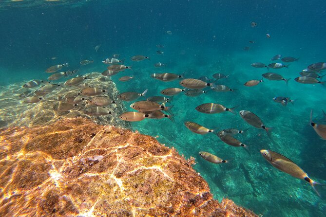 Kamenjak Nature Park: Kayak Tour with Snorkeling & Cave Exploring - Swimming and snorkeling between the rocky shores