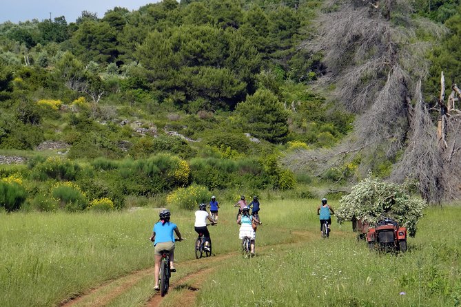Kayak and Bike Tour to Sipan island from Lopud - Key points to know before you book