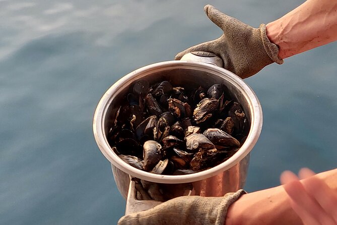 Kayaking and mussels tasting at Krka River estuary-private tours - What the small group changes