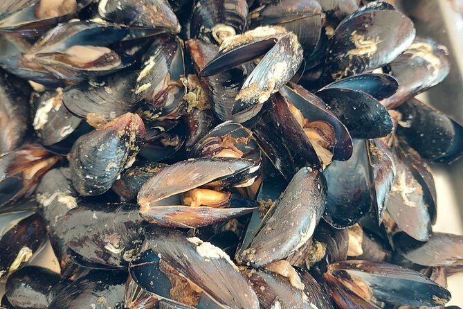 Kayaking and mussels tasting at Krka River estuary-private tours - The $84.21 price and what it covers