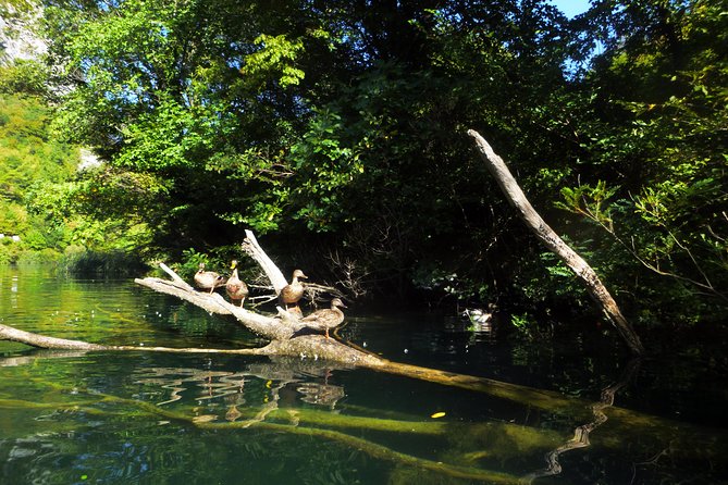 Kayaking and Snorkeling in Omiš - Key points to know before you book