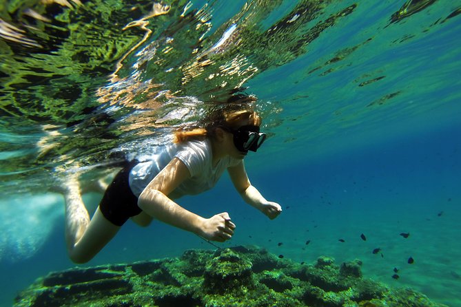Kayaking and Snorkeling in Omiš - Starting at Cetinska cesta 32 at 9:00 am