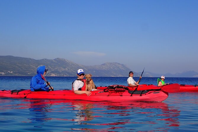 Kayaking Korčula's Paradise -Half Day Guided Kayak Tour - Local stories beyond the postcard view