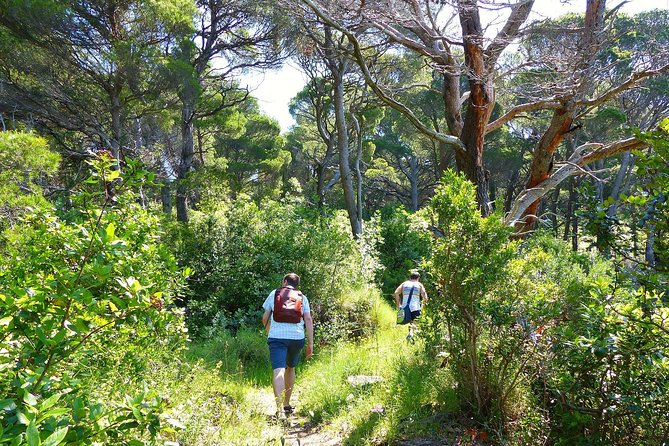 Kolocep Island Hiking and Swimming Full Day Trip from Dubrovnik - Heat, water, and practical preparation