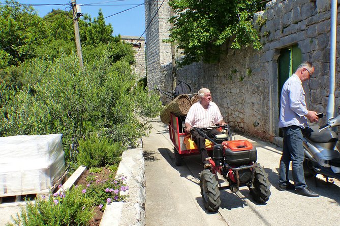 Kolocep Island Hiking and Swimming Full Day Trip from Dubrovnik - Booking details that affect your day
