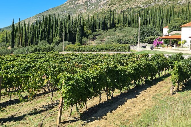 Konavle Gastro & Culture Tour (Private Tour) - Peka lunch is the main event in Konavle