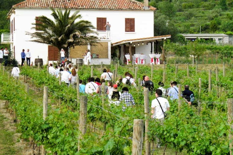 Konavle Valley: Tour with Wine Tasting from Dubrovnik - Six good reasons to consider this Konavle outing