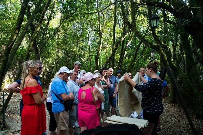 Konavle Valley Wine Tour from Dubrovnik with Train Ride and Wine Tasting - Pišta family estate and the rustic snack