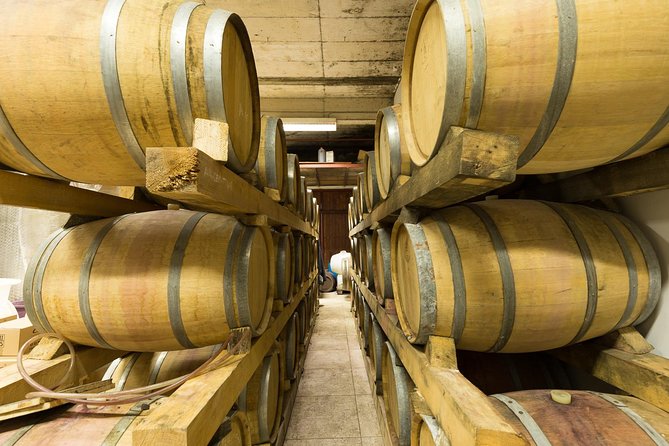 Konavle wine tasting tour from Dubrovnik with 2 vinery's - Vodopić Winery and the second tasting