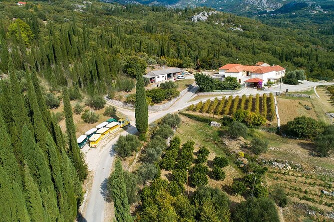 Konavle wine tasting tour from Dubrovnik with 2 vinery's - The Mlini finish: sea air after the wine