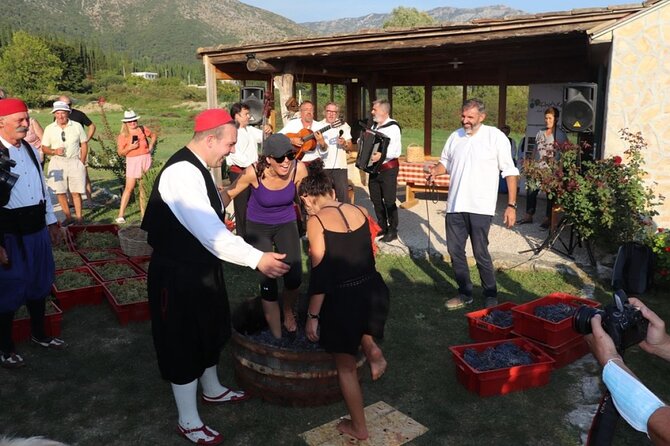 Konavle wine tasting tour from Dubrovnik with 2 vinery's - Who will enjoy this Konavle tour most?