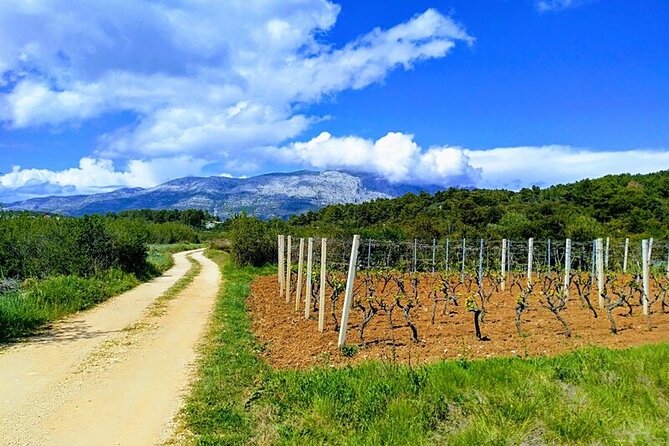 Korcula Bike & Wine Tour | Wine Tasting in Lumbarda - Starting in Korcula Town with a mountain bike