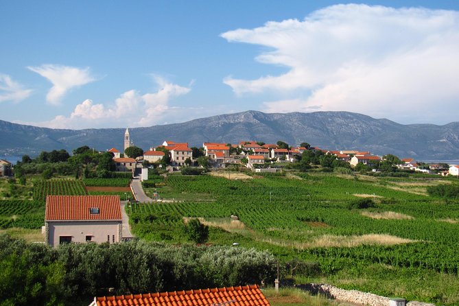 Korcula Bike & Wine Tour | Wine Tasting in Lumbarda - The return to Korcula Town